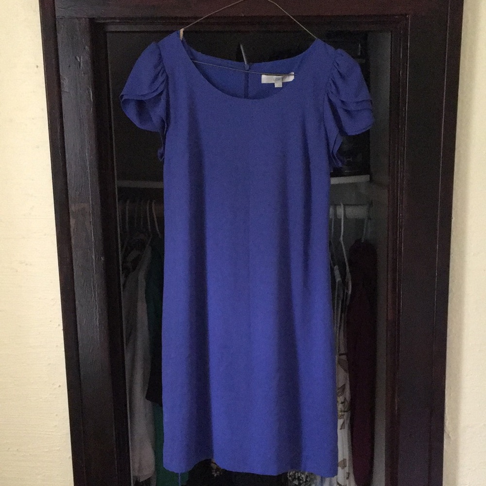Beautiful Blue Loft Dress with Cap Sleeves